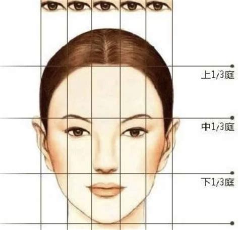 标准脸是什么脸型，早些是瓜子脸但如今是中国广泛的鸭蛋脸